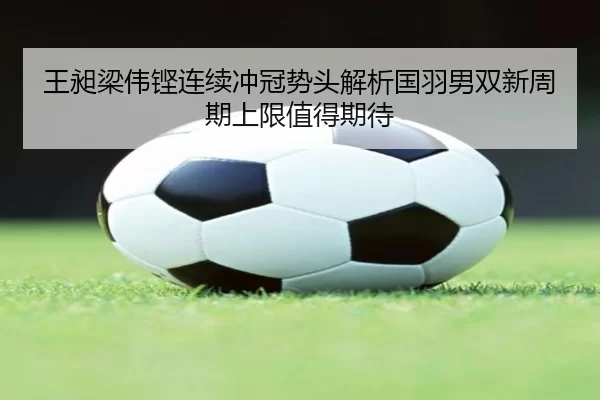王昶梁伟铿连续冲冠势头解析国羽男双新周期上限值得期待